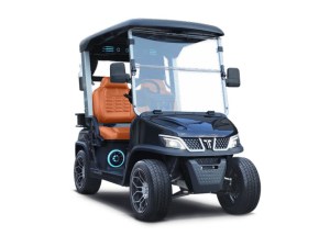 Tara Roadster 2 Seater Evolution Lithium Golf Cart Black